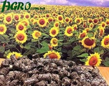 1agro.com.ua