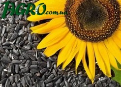 1agro.com.ua