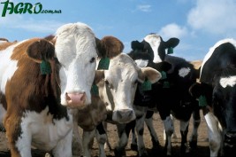 1agro.com.ua