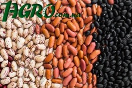 1agro.com.ua
