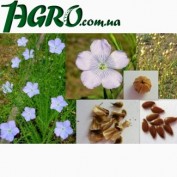 1agro.com.ua