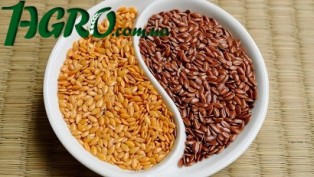 1agro.com.ua