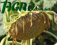 1agro.com.ua
