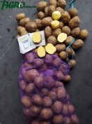 1agro.com.ua