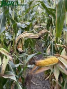 1agro.com.ua