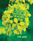 1agro.com.ua