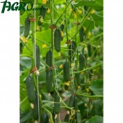 1agro.com.ua
