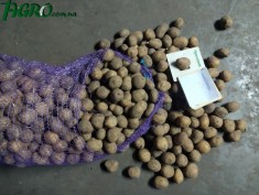 1agro.com.ua