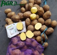 1agro.com.ua