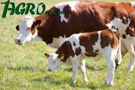 1agro.com.ua