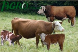 1agro.com.ua