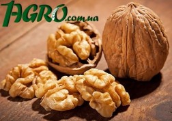 1agro.com.ua