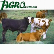 1agro.com.ua