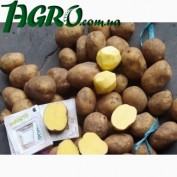 1agro.com.ua