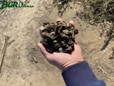 1agro.com.ua