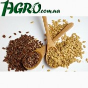 1agro.com.ua