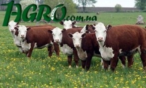 1agro.com.ua