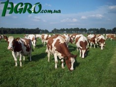 1agro.com.ua