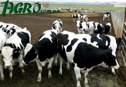 1agro.com.ua