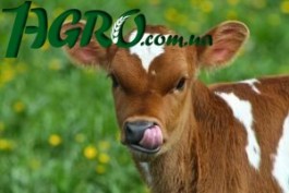 1agro.com.ua
