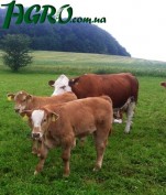 1agro.com.ua
