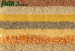 1agro.com.ua
