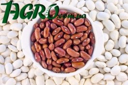 1agro.com.ua