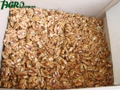 1agro.com.ua
