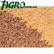 1agro.com.ua