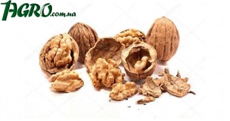 1agro.com.ua
