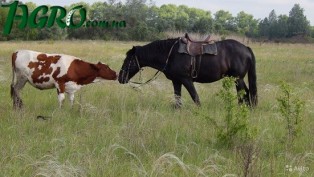 1agro.com.ua