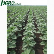 1agro.com.ua