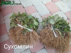 1agro.com.ua