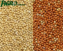 1agro.com.ua