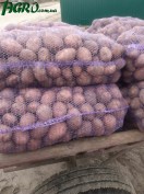1agro.com.ua