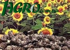 1agro.com.ua