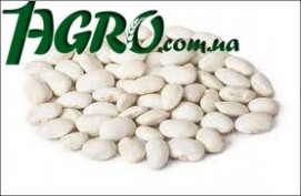 1agro.com.ua