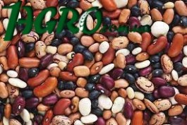 1agro.com.ua