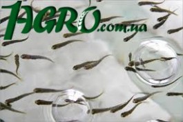 1agro.com.ua