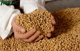 1agro.com.ua