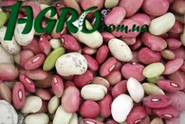 1agro.com.ua