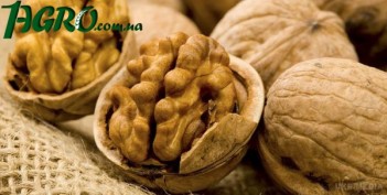 1agro.com.ua