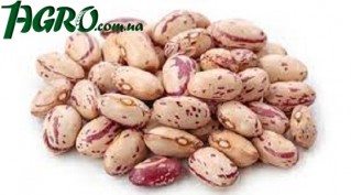 1agro.com.ua