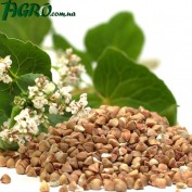 1agro.com.ua