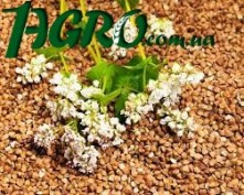1agro.com.ua