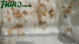 1agro.com.ua