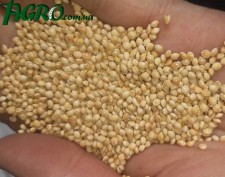 1agro.com.ua