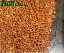 1agro.com.ua