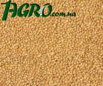 1agro.com.ua