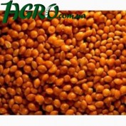 1agro.com.ua